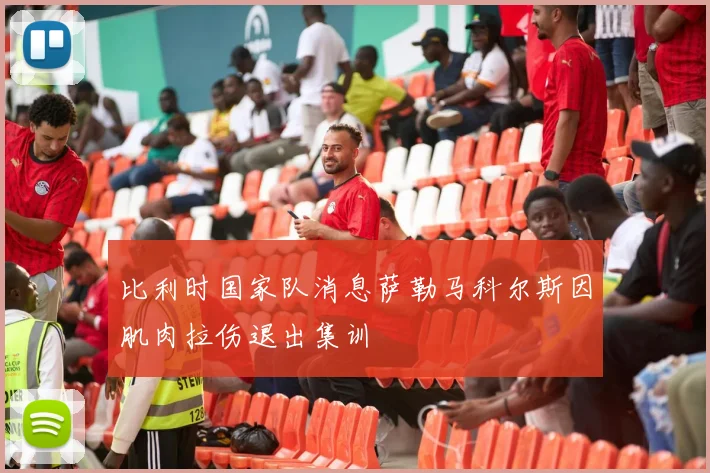 比利时国家队消息萨勒马科尔斯因肌肉拉伤退出集训