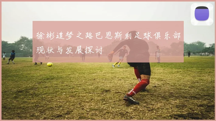 徐彬追梦之路巴恩斯利足球俱乐部现状与发展探讨