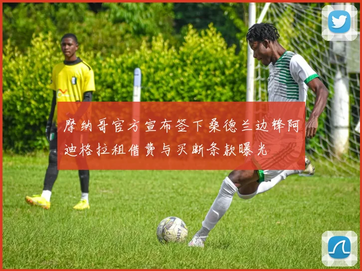 摩纳哥官方宣布签下桑德兰边锋阿迪格拉租借费与买断条款曝光