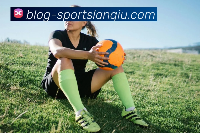 篮球赌注平台生态图